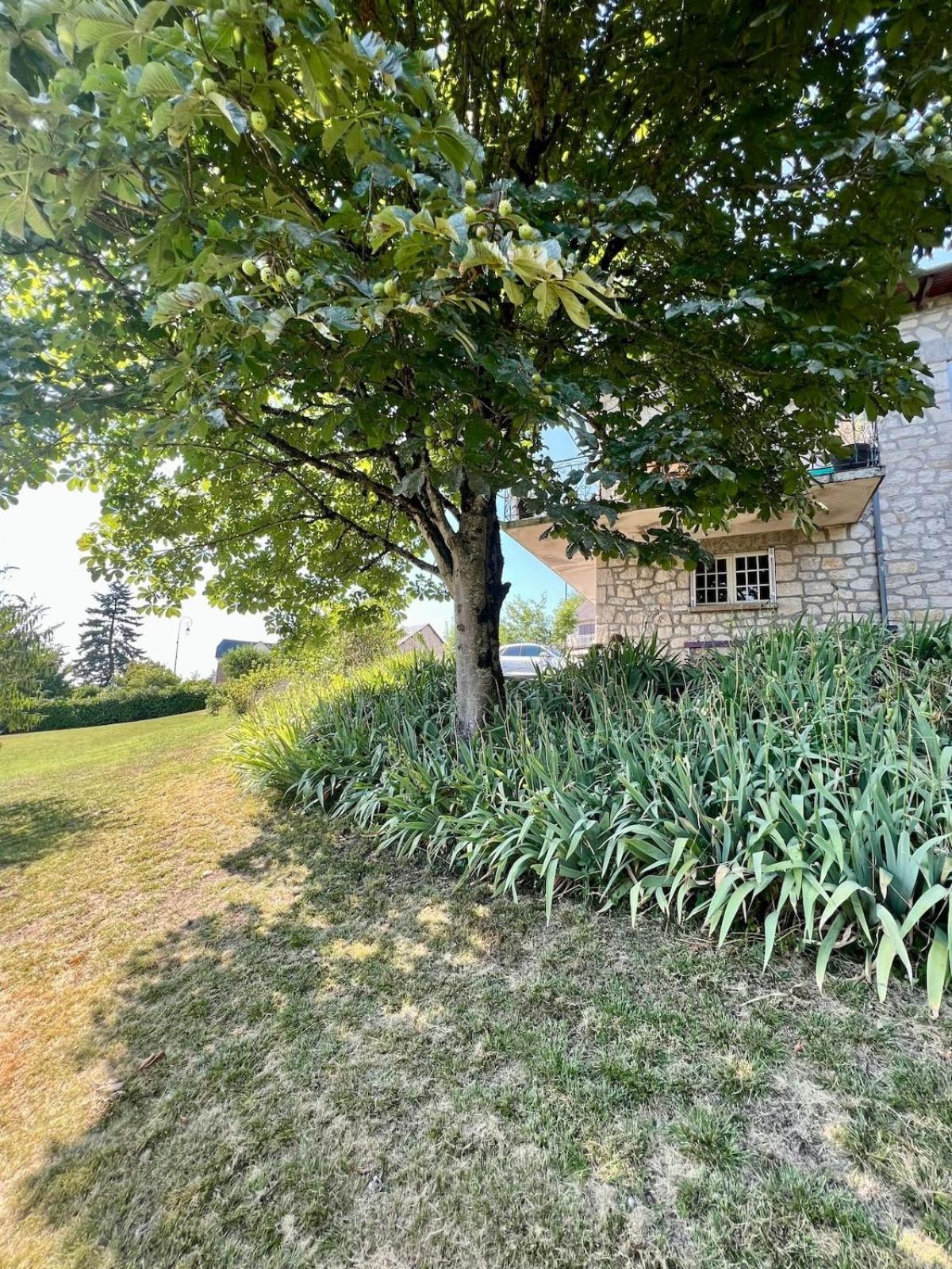 Villa La Baronnie - 11 Pers - Proche Brive -Jardin Ussac Esterno foto